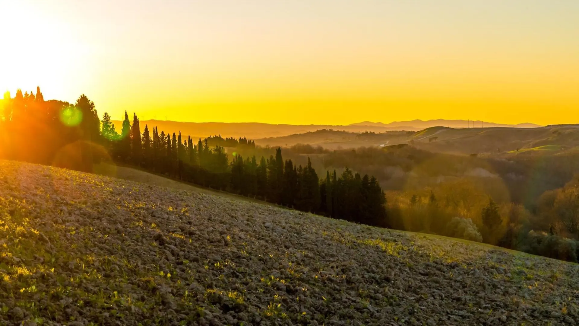 Agroturismo Villa Borgo Il Poggio Agritourismo Montaione