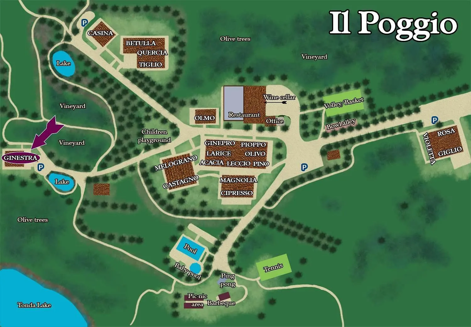 Villa Borgo Il Poggio Agritourismo Montaione Agroturismo